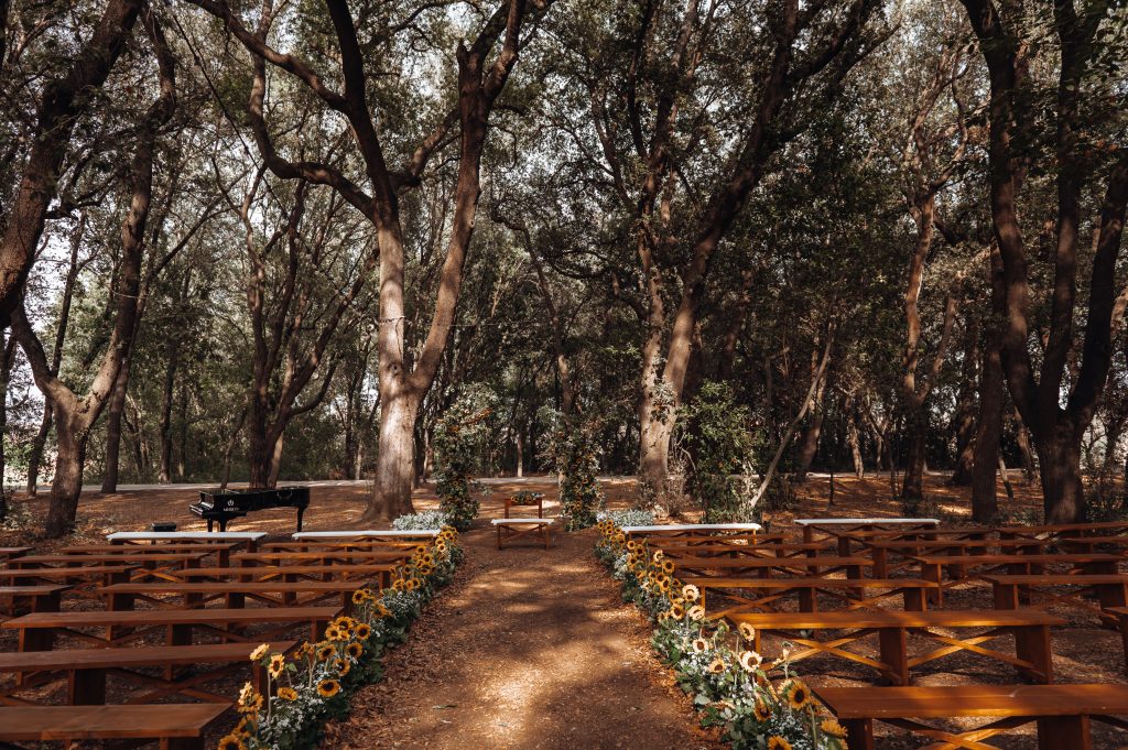 tema bosco